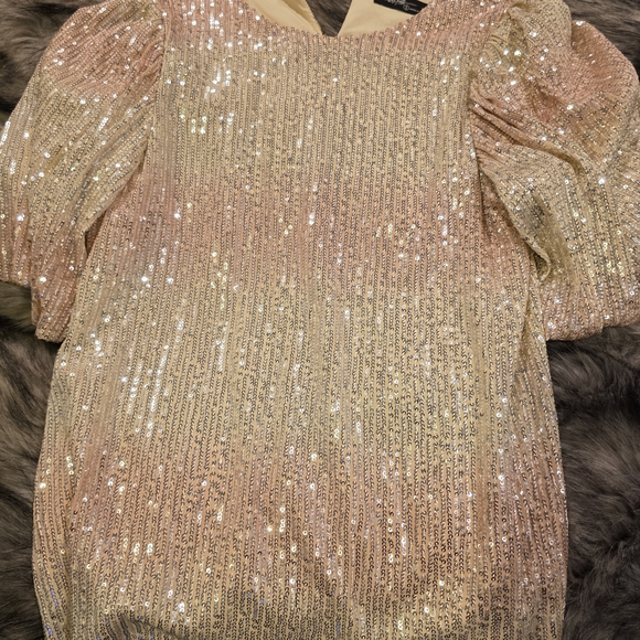 Shimmering Sequin Dress - Picture 1 of 3